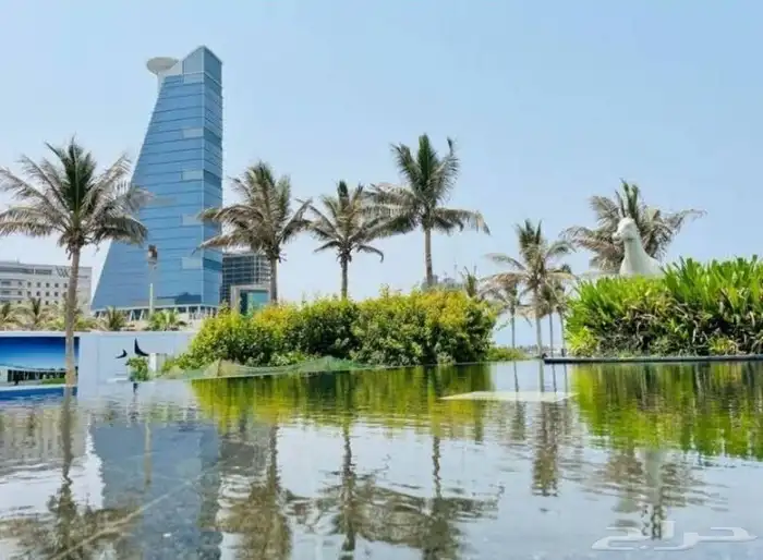 مطلوب شقة مفروشة 2 غرفة وصالة ومطبخ وتكون نظيفة حي الروضه 0