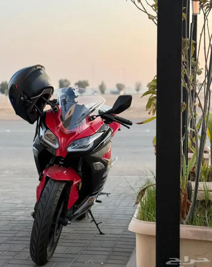 دباب ريس 250 cc اخو الجديد 4