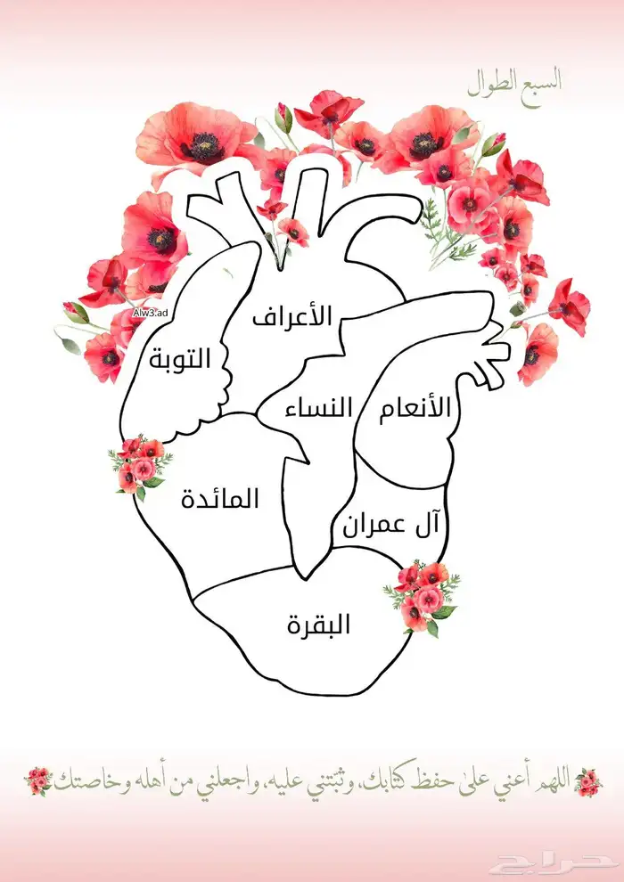 تحفيظ قرآن تعلم دروس دينيه 3