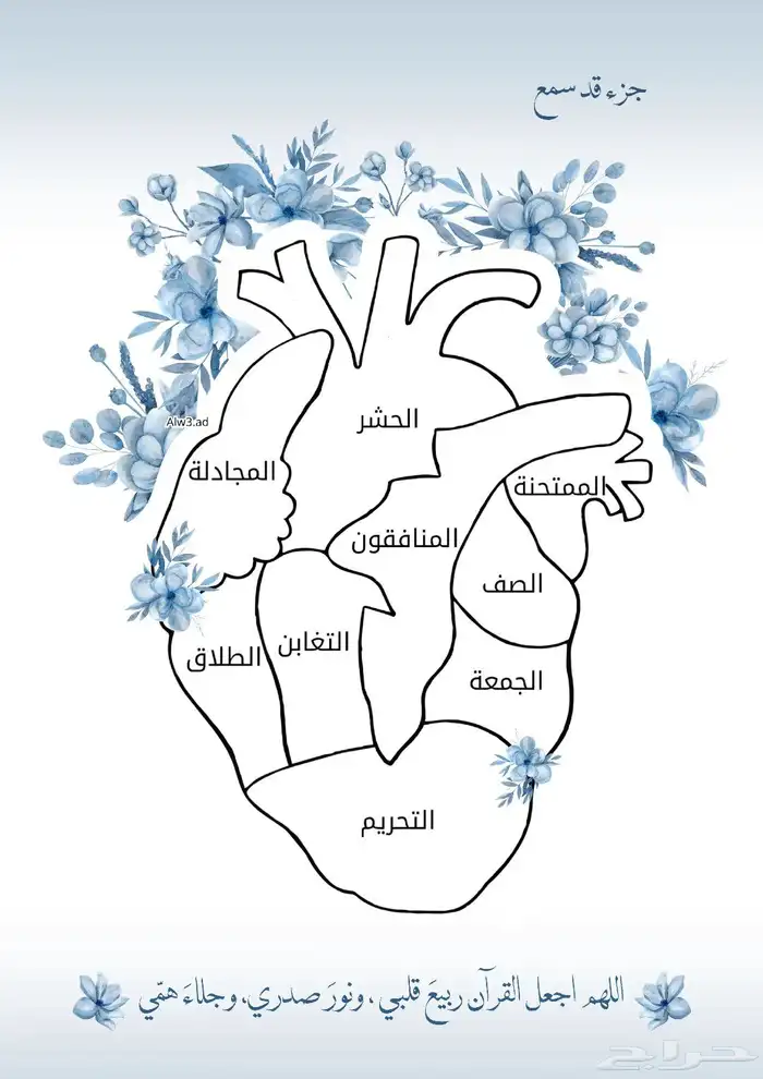 تحفيظ قرآن تعلم دروس دينيه 0