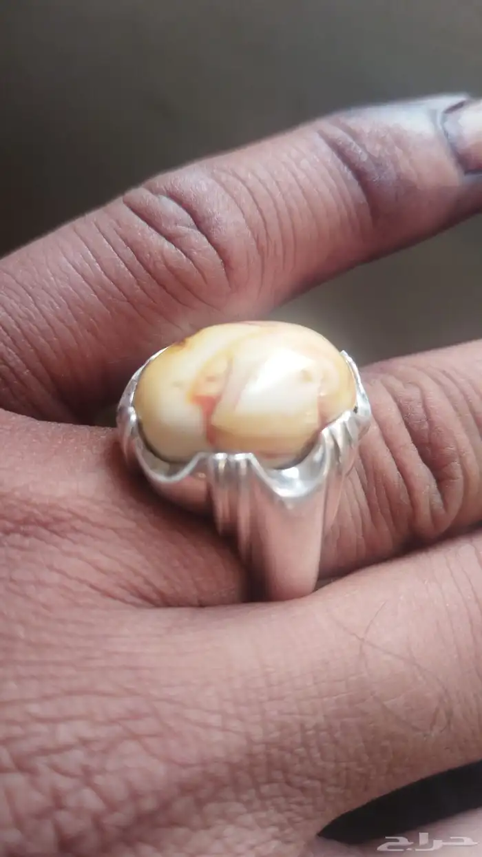 اكسسوارات الرجل 2
