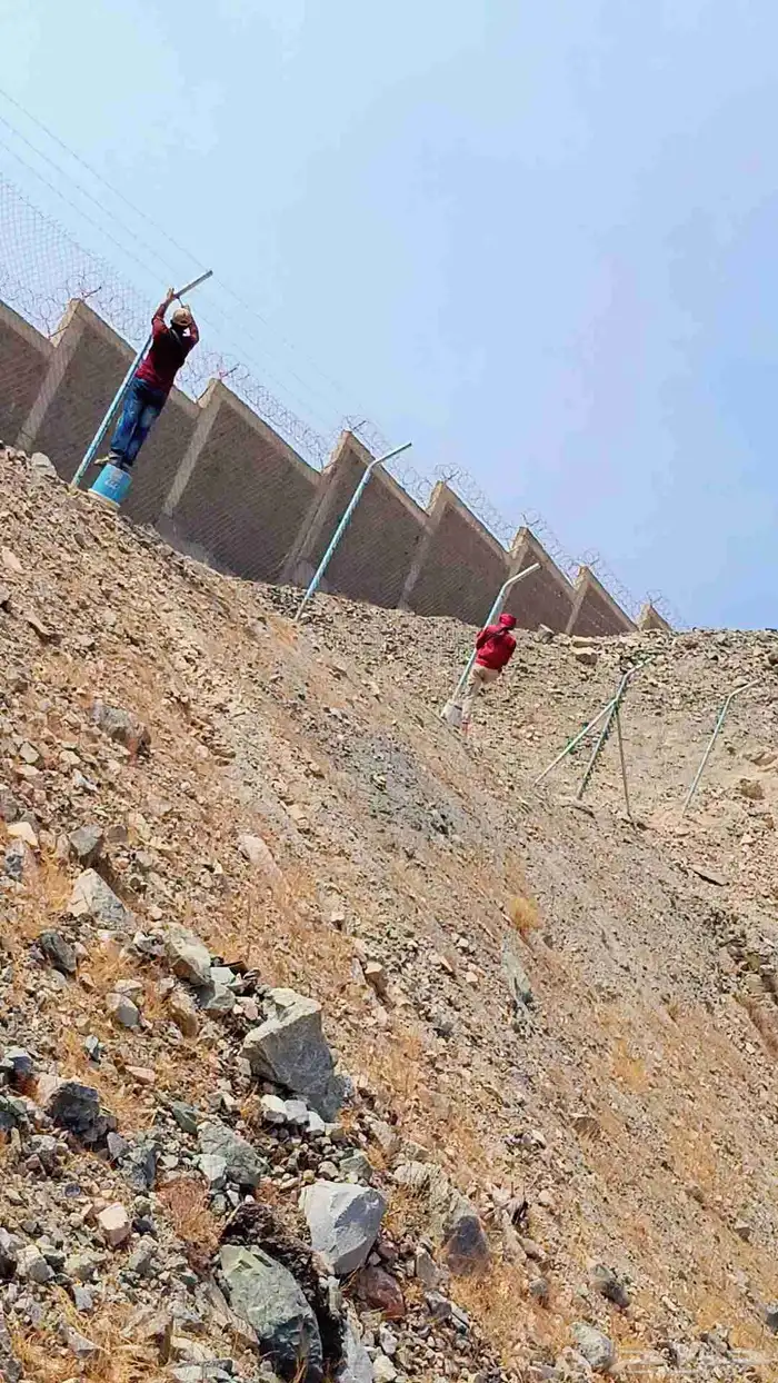 بنا الحجر الطبيعي وتركيب اسياج الشبوك وزراعة النخيل 0