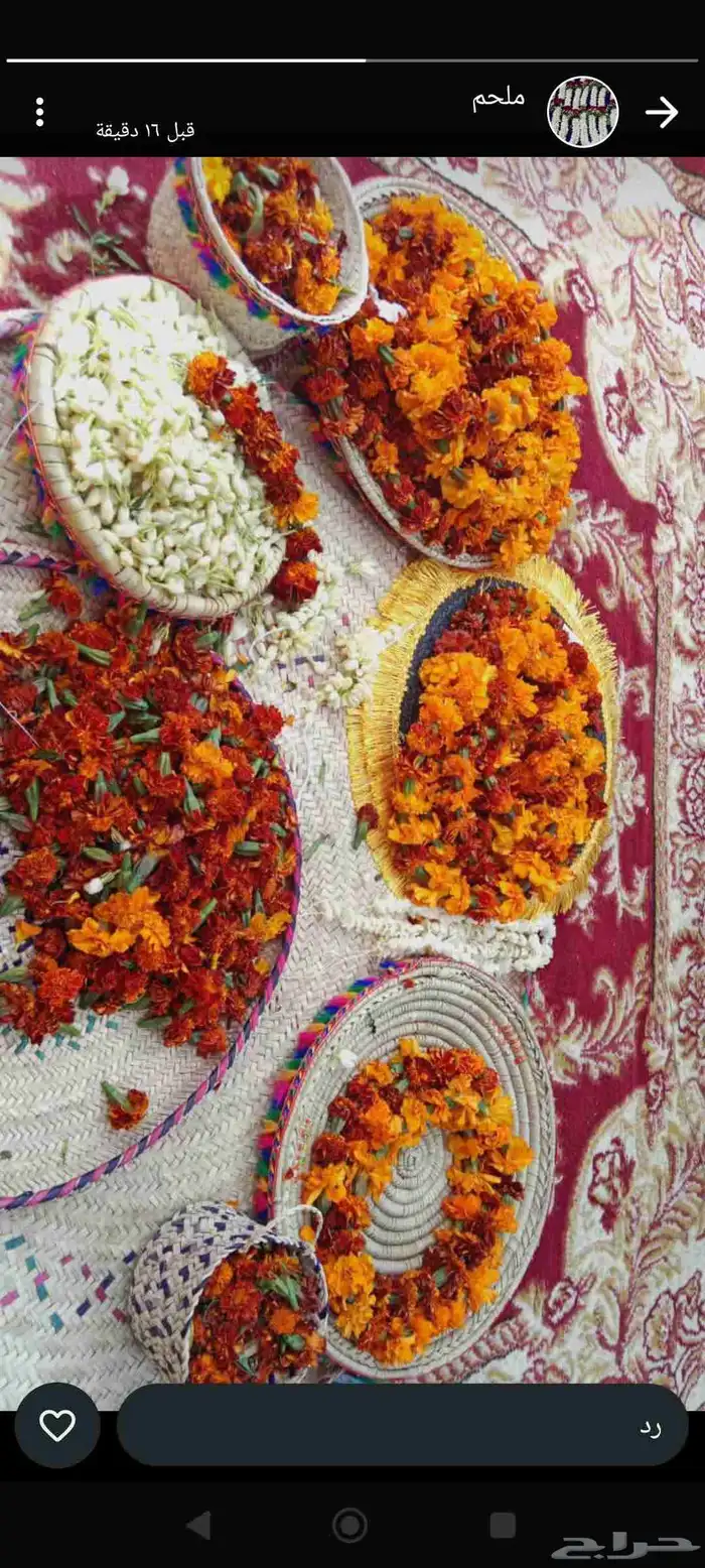 فل ورد طبيعي 37