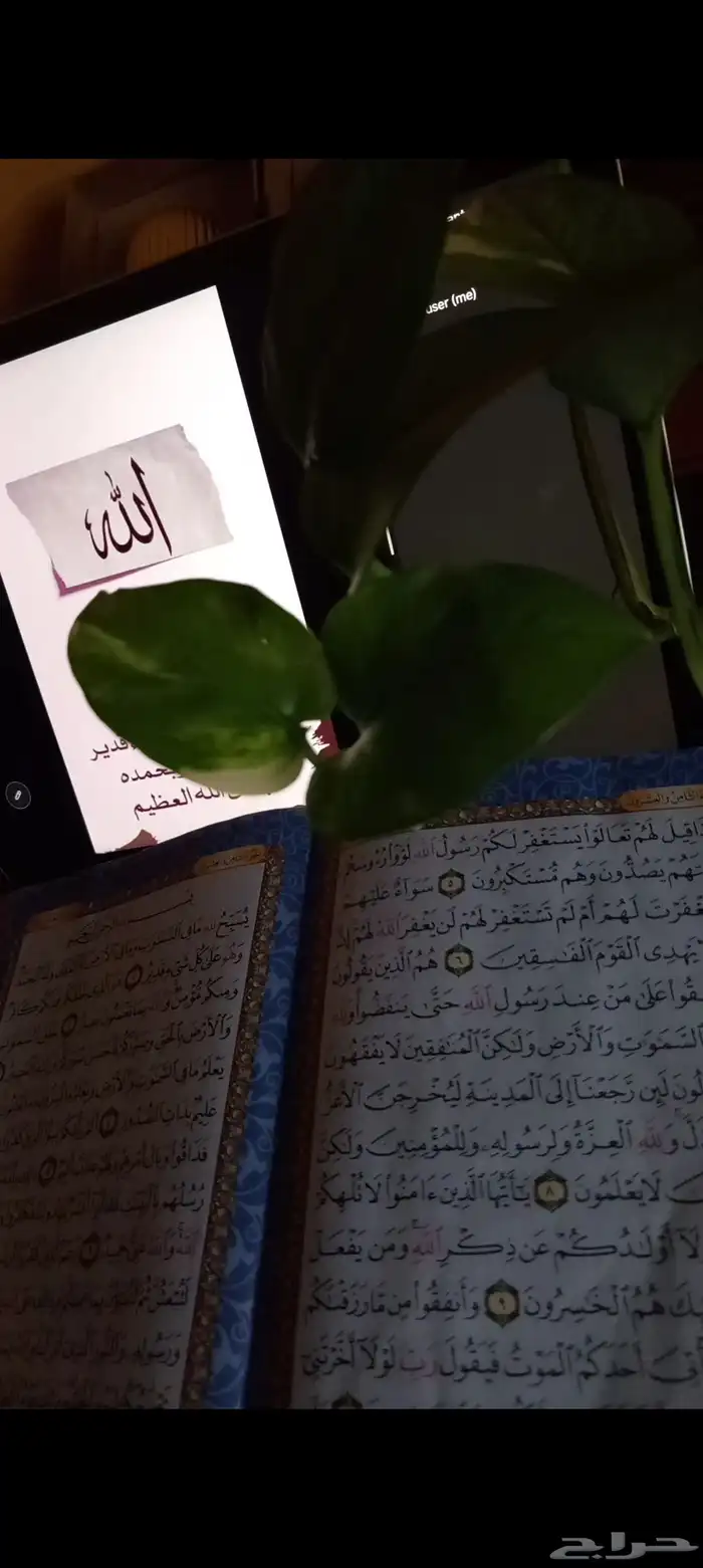 تحفيظ قرآن تعلم دروس دينيه 6
