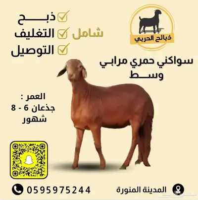 طليان سواكن ذبائح ( للحفلات والمناسبات والثلاجات ) index