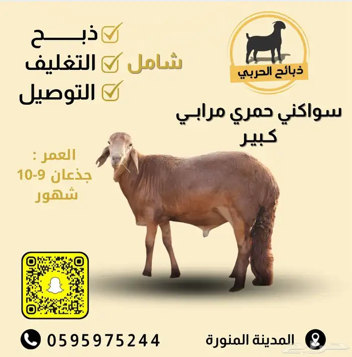 طليان سواكن ذبائح ( للحفلات والمناسبات والثلاجات ) 0
