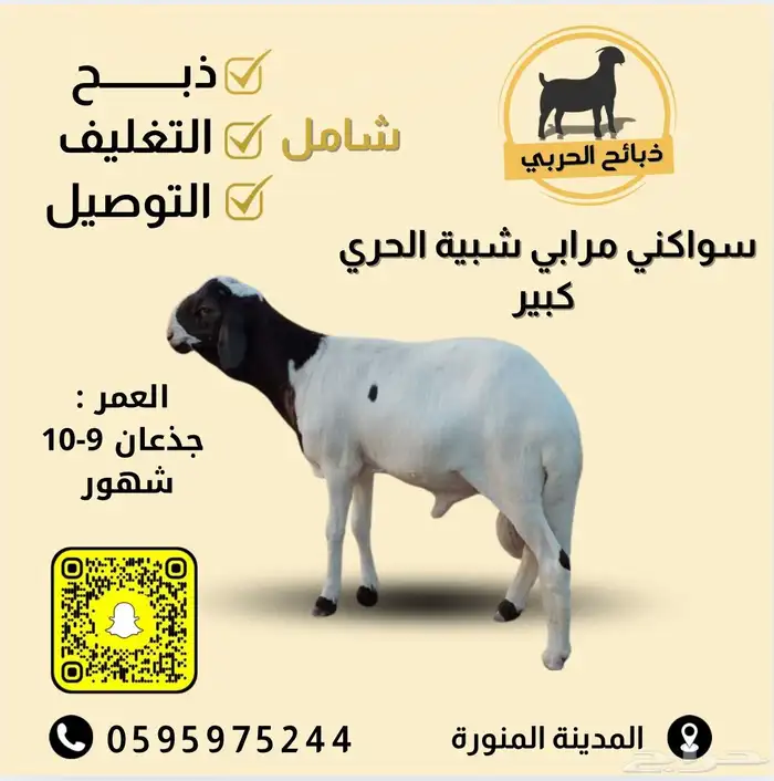 طليان سواكن ذبائح ( للحفلات والمناسبات والثلاجات ) 1