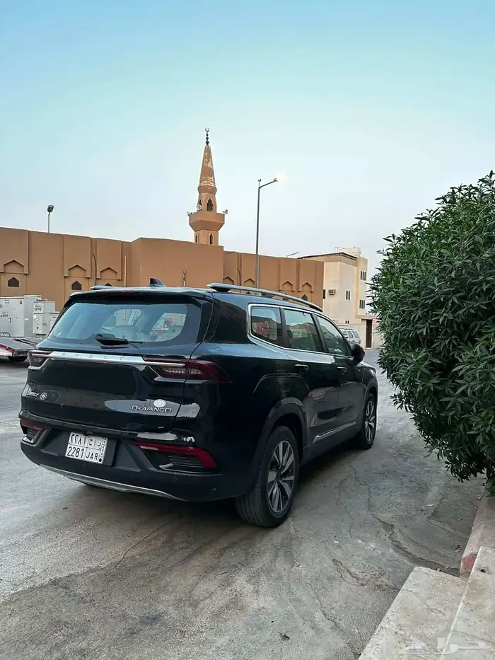 للبيع جيلي اكوافانجو 2022 7