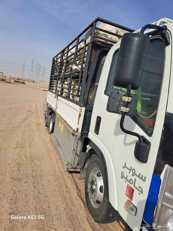 دنا طابقين نقل غنم 0