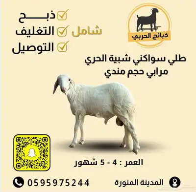 طليان سواكن ذبائح ( للحفلات والمناسبات والثلاجات ) index