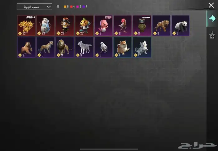 للبيع حساب ببجي اسطوري 13