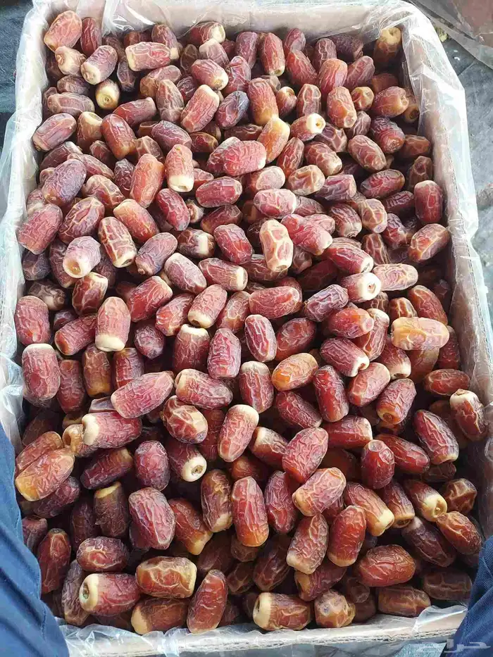 يوجد صقعي 0