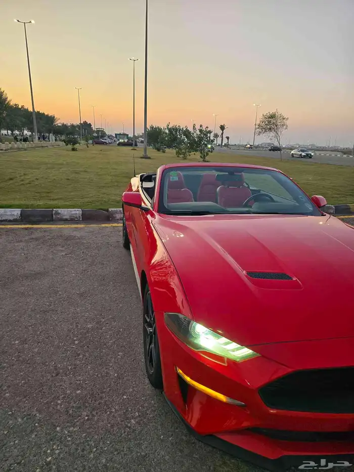 موستانج اكوبوست 2019 6