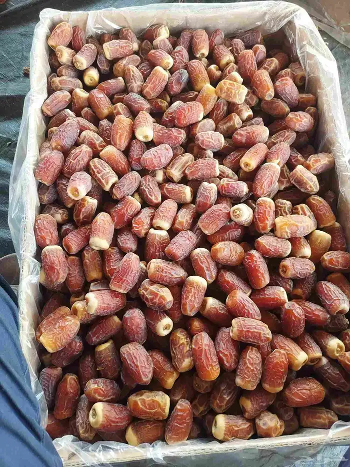يوجد صقعي 1