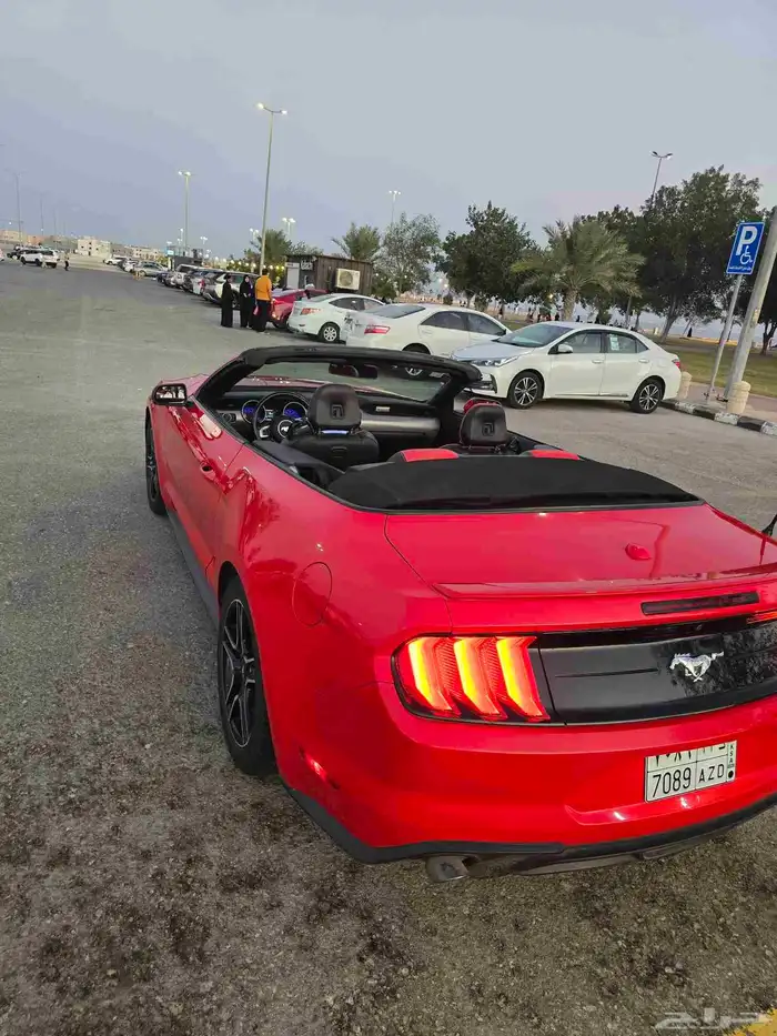 موستانج اكوبوست 2019 0