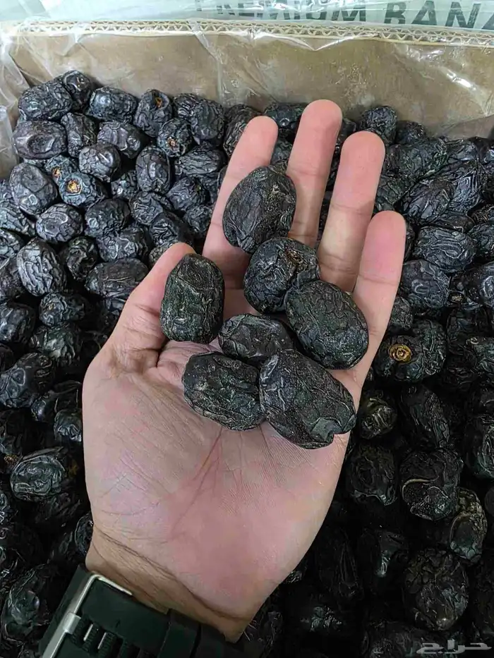 عجوة فاخرة 1