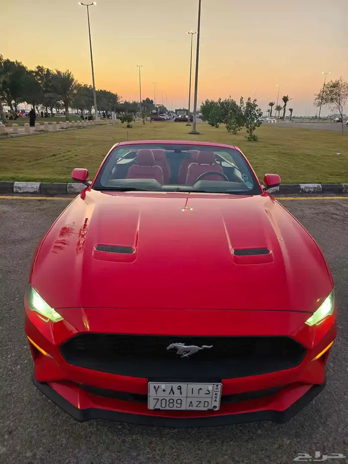 موستانج اكوبوست 2019 8