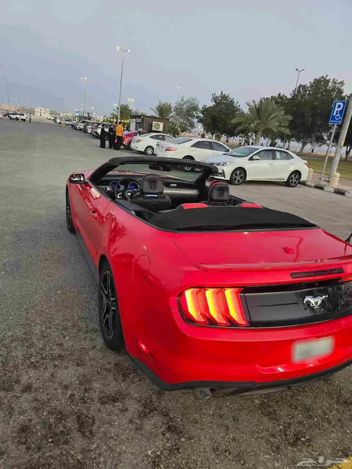 موستانج اكوبوست 2019 5