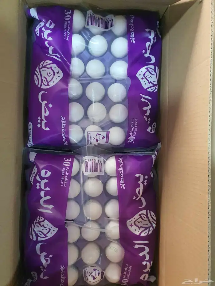 بيض جمله للمناديب والمحلات 0
