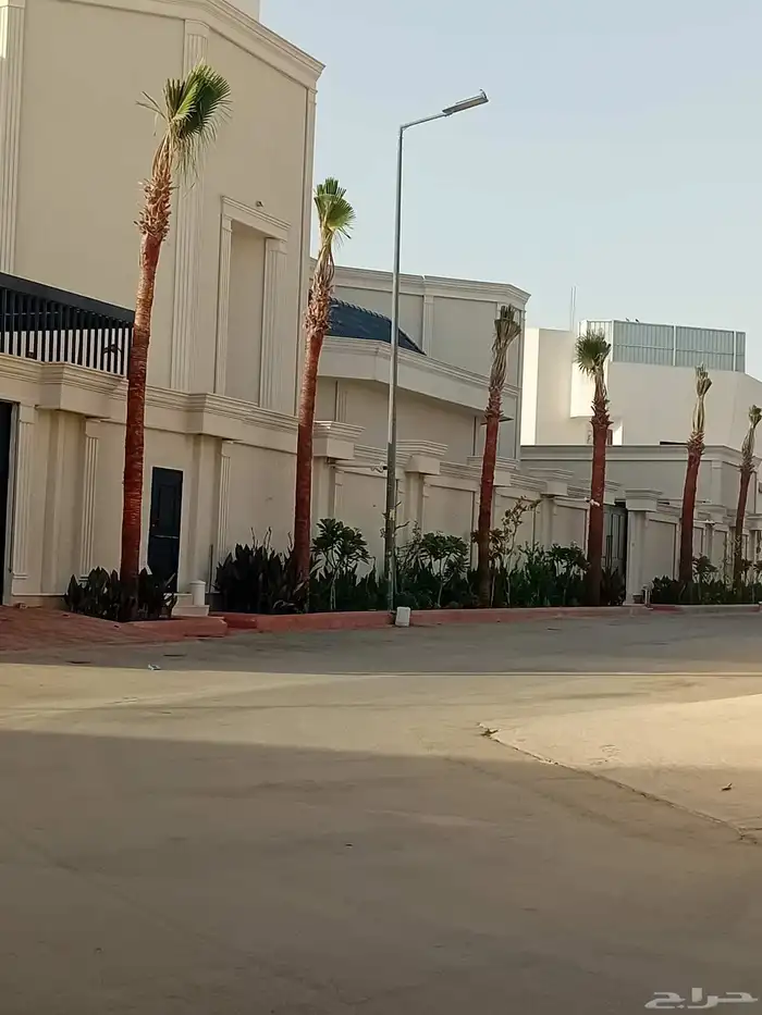 يتوفر لدينا جميع أنواع النخيل الوشنطني والعربي 1