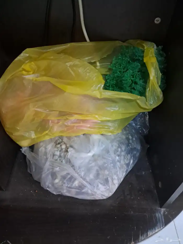 حوض سمك 1