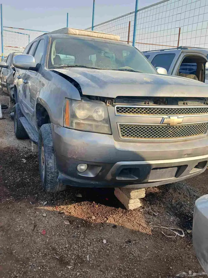 الامركي 5