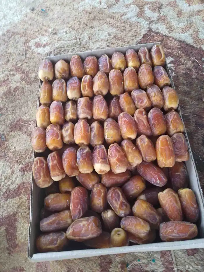 يوجد رطب صقعي ومبروم صقعي درجه الولا 0