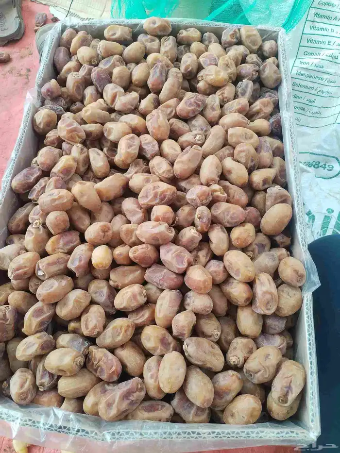 خلاص 1