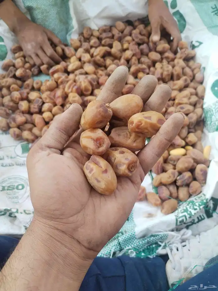 خلاص 2