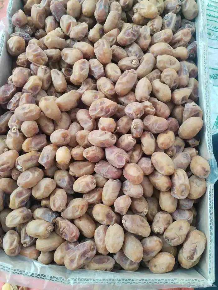 خلاص 0