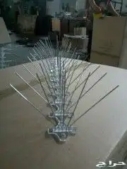 طارد الحمام المدين  المنور  مندوب اجمل 6