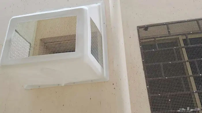 طارد الحمام المدين  المنور  مندوب اجمل 1