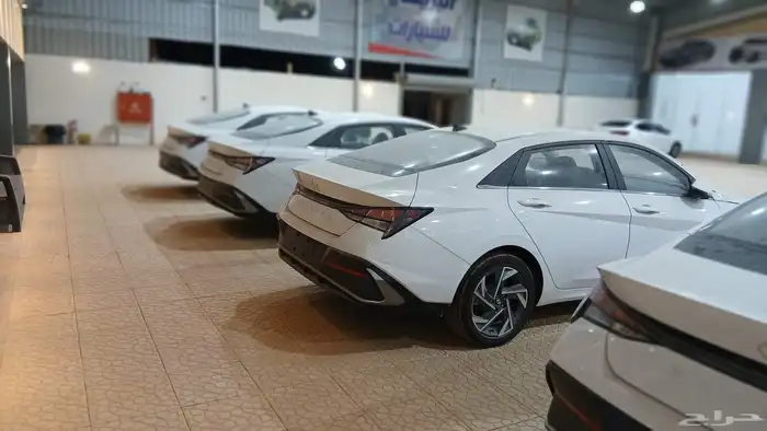 النترات اصفار معرض اضواء البريمي بحفر الباطن 2