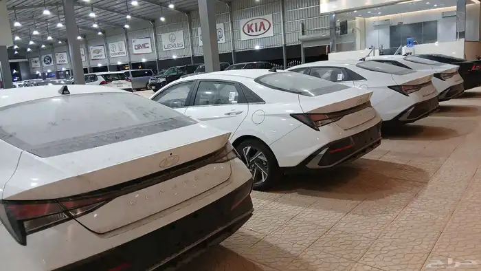 النترات اصفار معرض اضواء البريمي بحفر الباطن 5