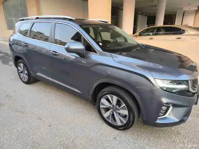 جيلي اوكافانجو 23 Geely Okavango index