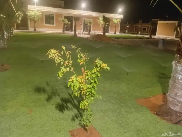 ثيل سي 2000 صافي وطبيعي درجة اوله يوجد تركيب وتوريد داخل الر 0