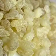 لبان الذكر كنز طبيعي من أرض الأصالة اللبان الذكر 8