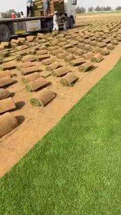 ثيل سي 2000 صافي وطبيعي درجة اوله يوجد تركيب وتوريد داخل الر 4