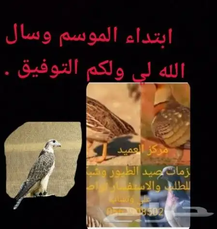 سوادي دحل. حمام 3