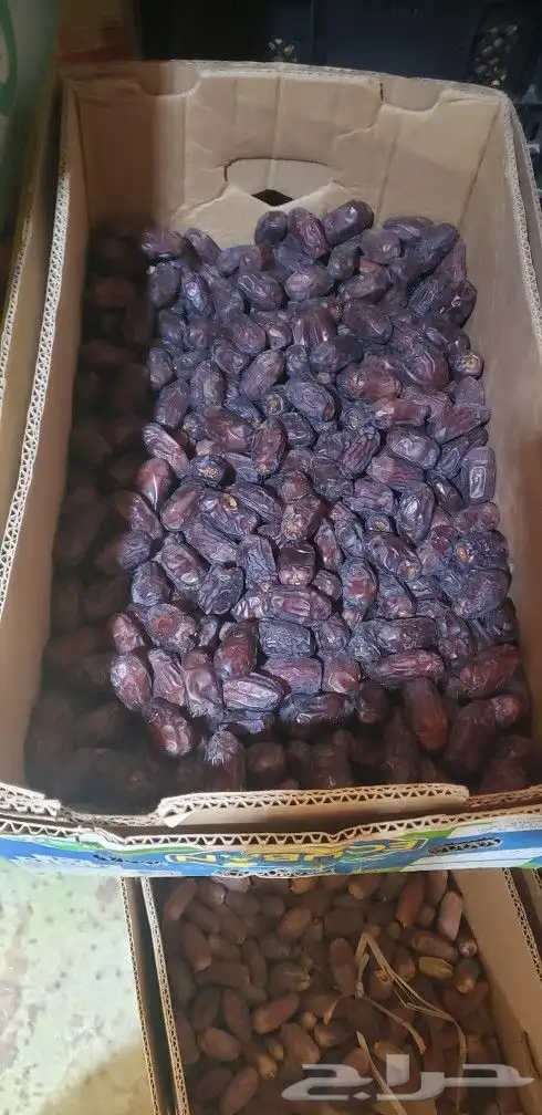 خضري 0