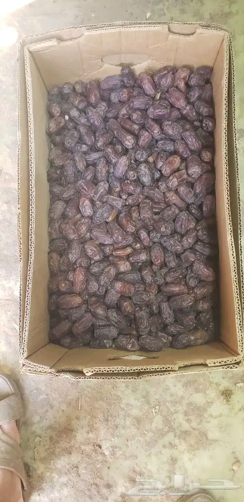 خضري 3