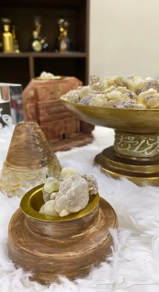 لبان الذكر كنز طبيعي من أرض الأصالة اللبان الذكر 5