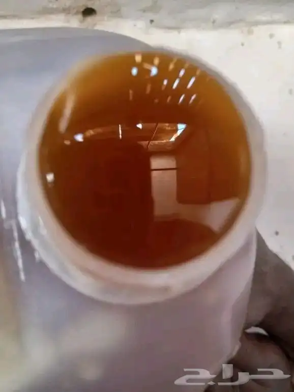 عسل سدر 0