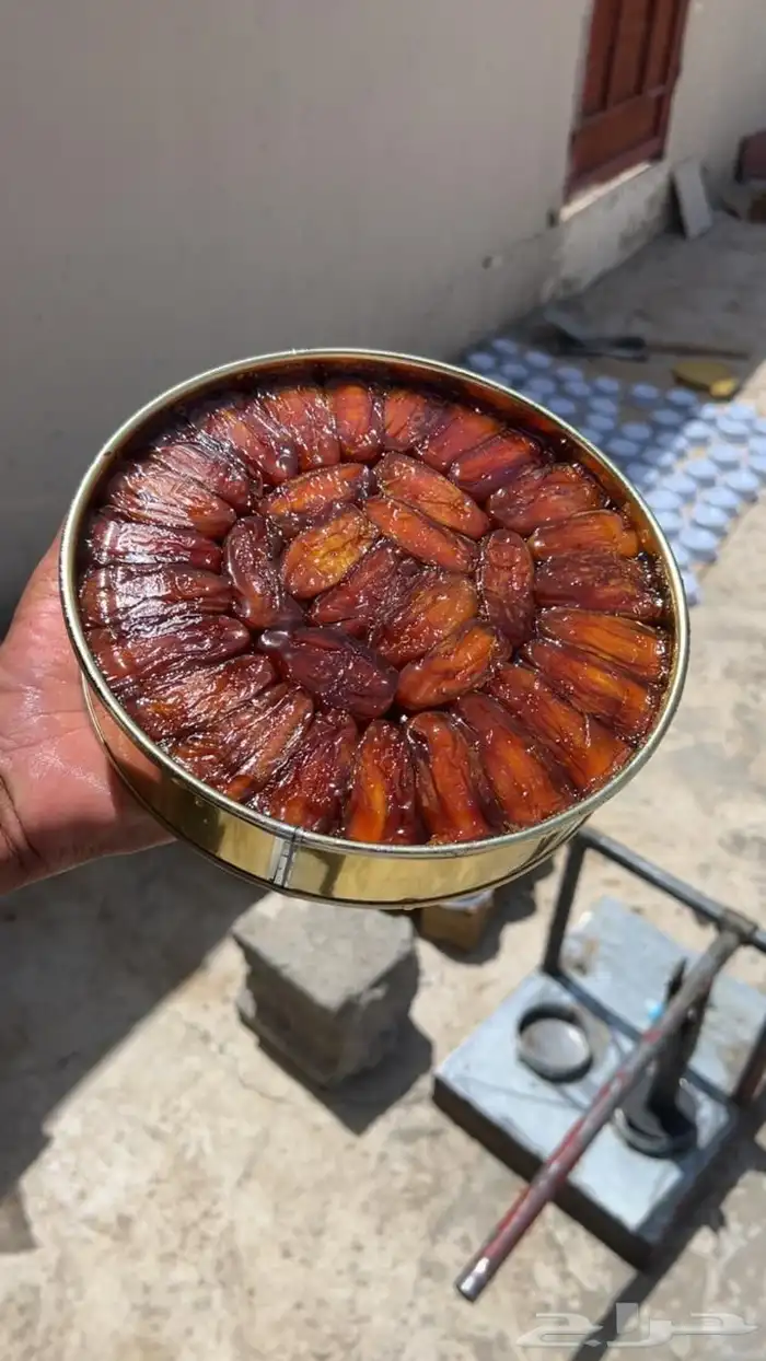 تمر صفري بيشه حبه طويله 1