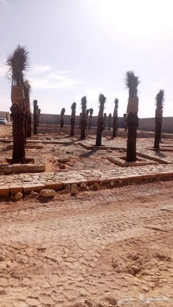 مقاول تراث قديم وترميم بيوت الطين وشغل حجر وشبوك مزارع 7