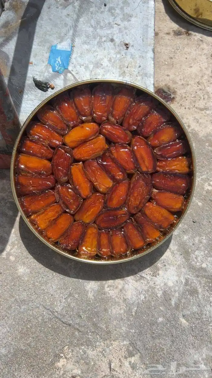 تمر صفري بيشه حبه طويله 2