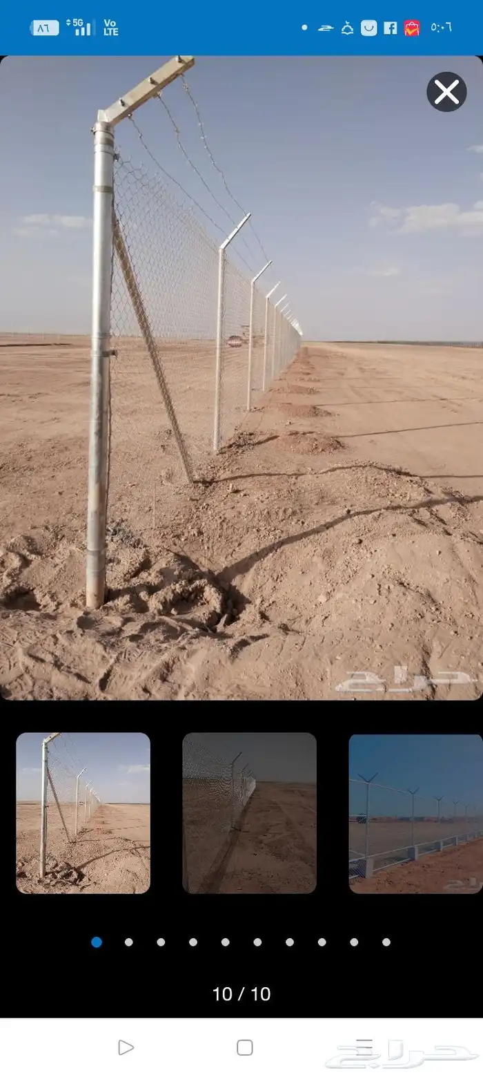 يوجد لدينا نخل عربي وفروخ 4