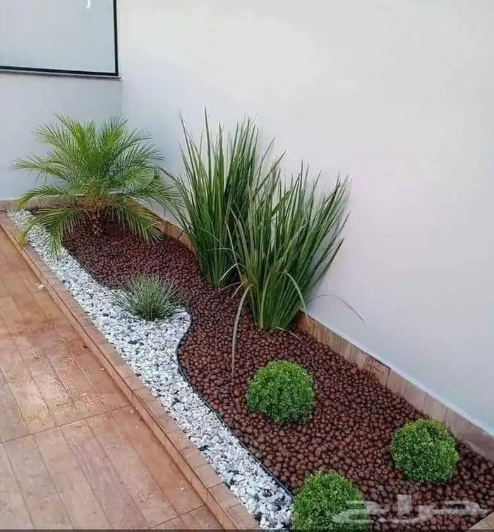 مشتل زراعي 6