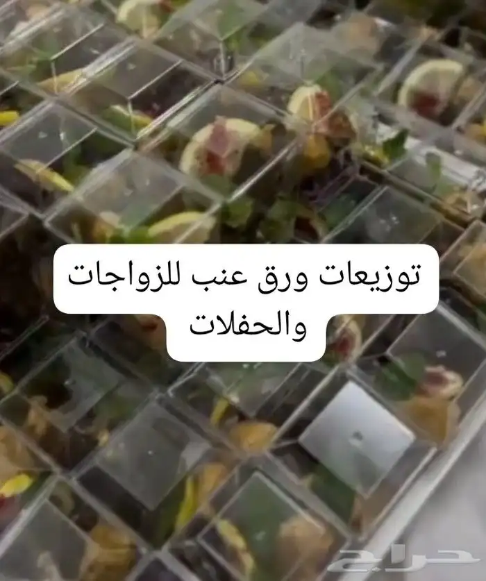 توزيعات الذ الذ الذ ورق عنب 0