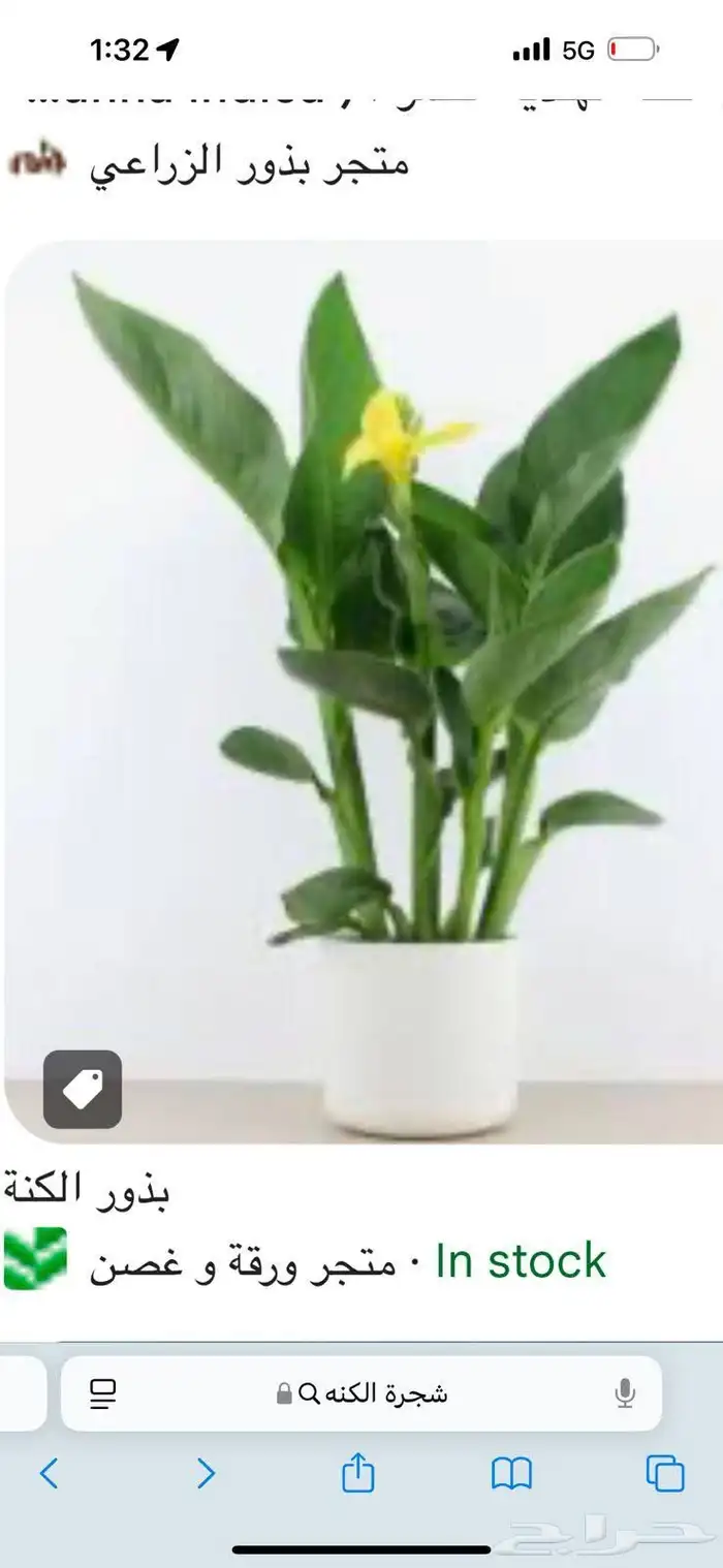 تنسيق حدائق طبيعي وصناعي وترميب شبكات الري والرزاز والضباب 5